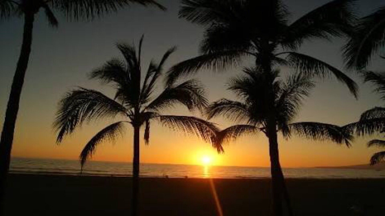 Photo of Others in Nuevo Vallarta