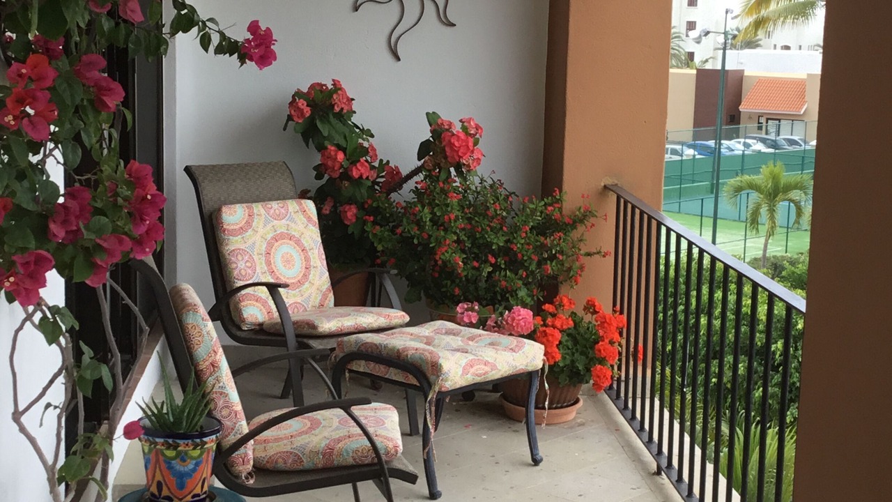 Photo of Outdoor in San Jose del Cabo