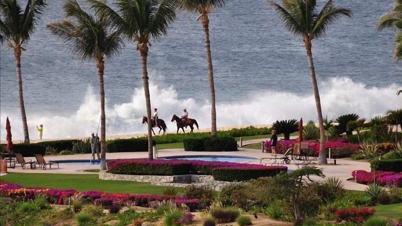 Photo of Others in San Jose del Cabo