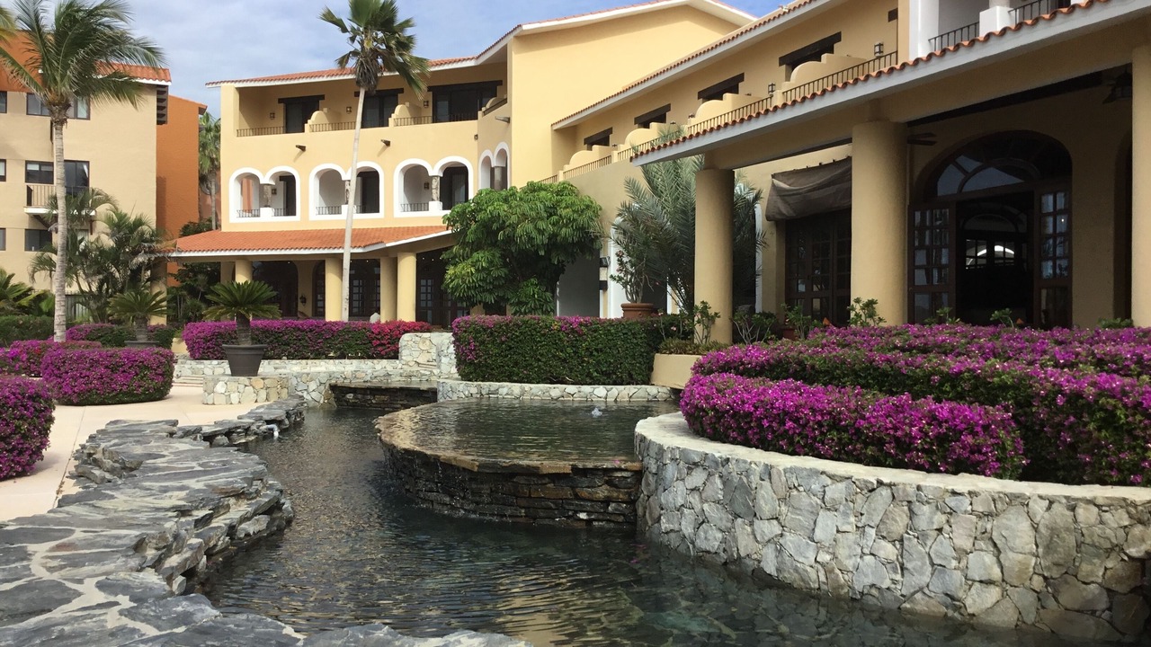 Photo of Others in San Jose del Cabo