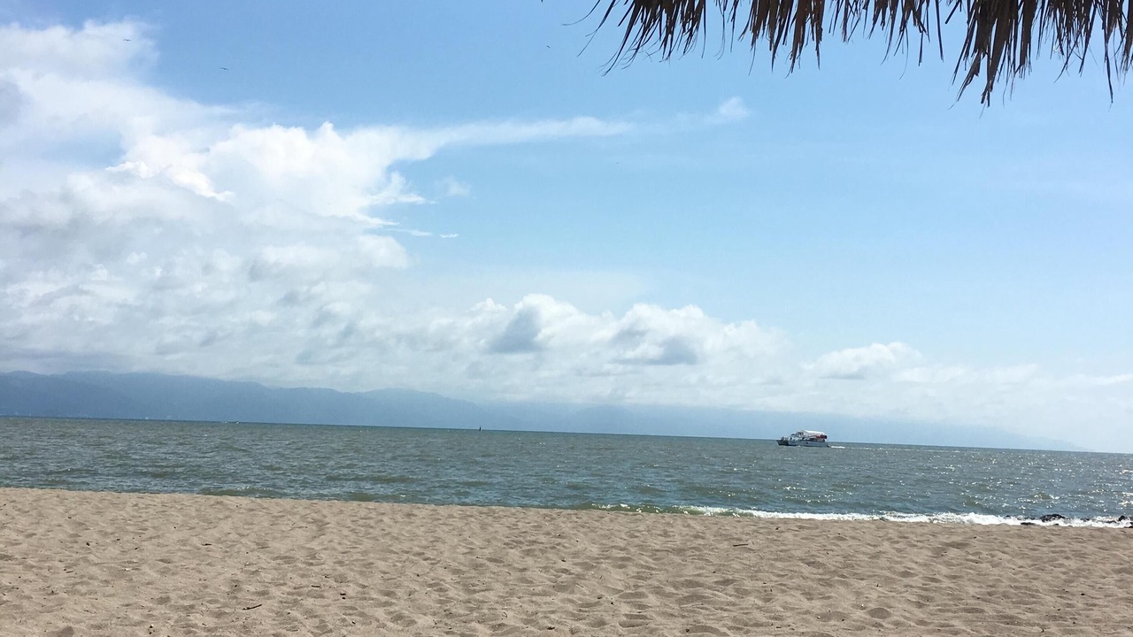 Photo of Others in Marina Vallarta