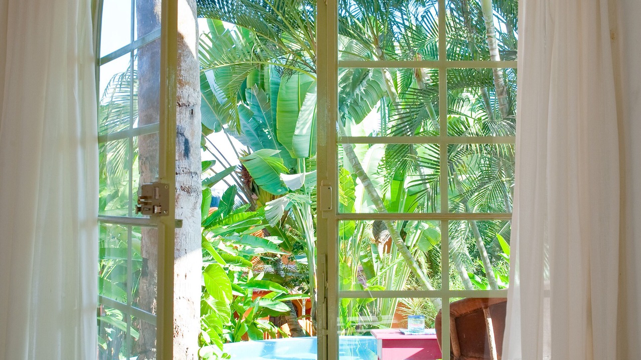 Photo of Outdoor in Sayulita