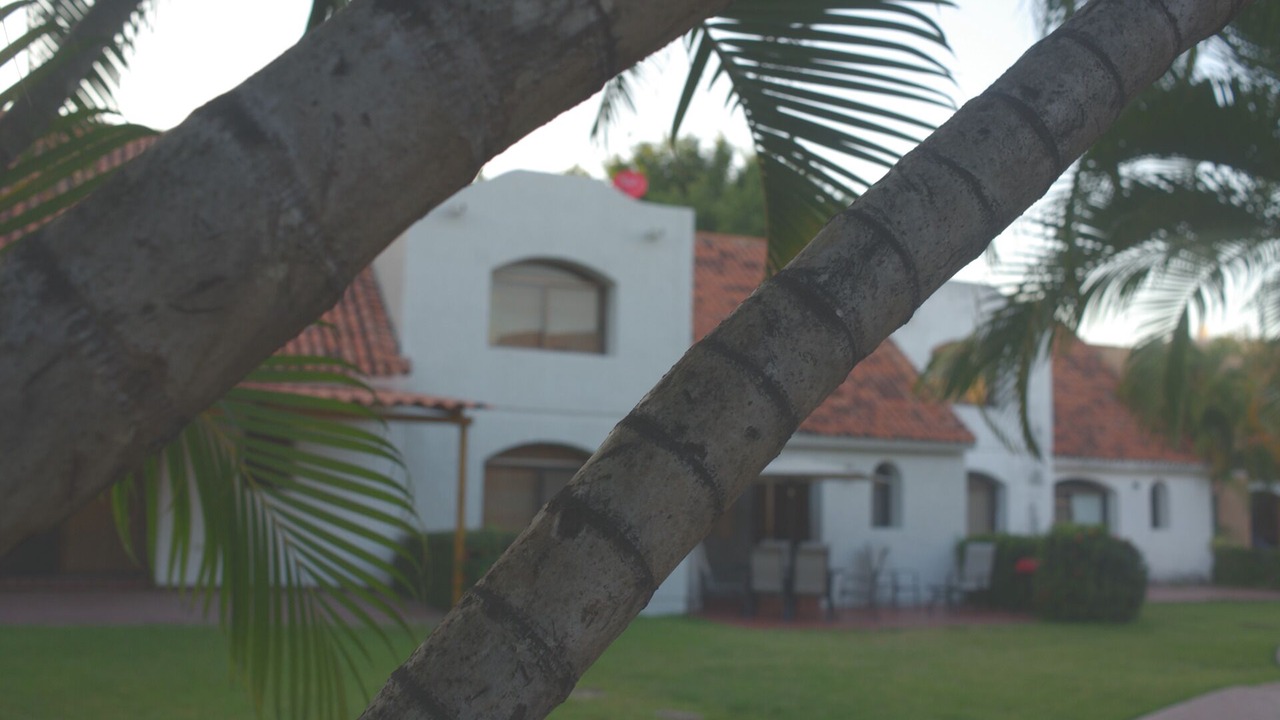 Photo of Outdoor in Marina Vallarta