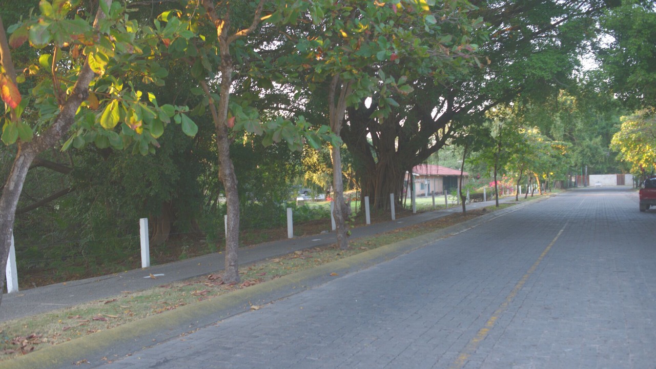 Photo of Outdoor in Marina Vallarta