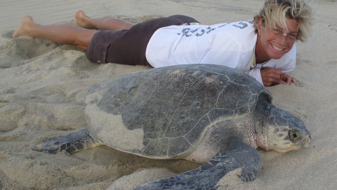 Photo of Others in Los Cabos