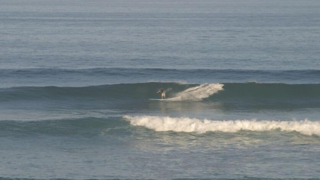 Photo of Others in Los Cabos