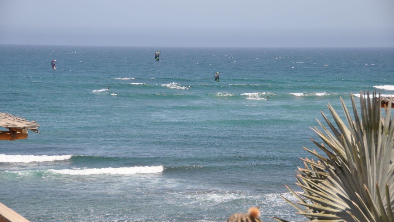 Photo of Others in Los Cabos