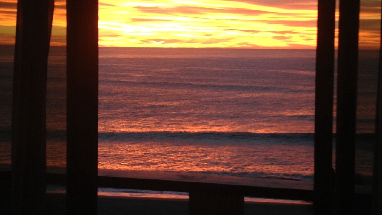 Photo of Others in Los Cabos
