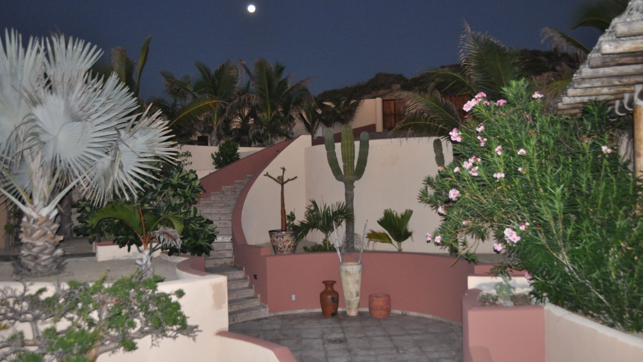 Photo of Outdoor in Los Cabos