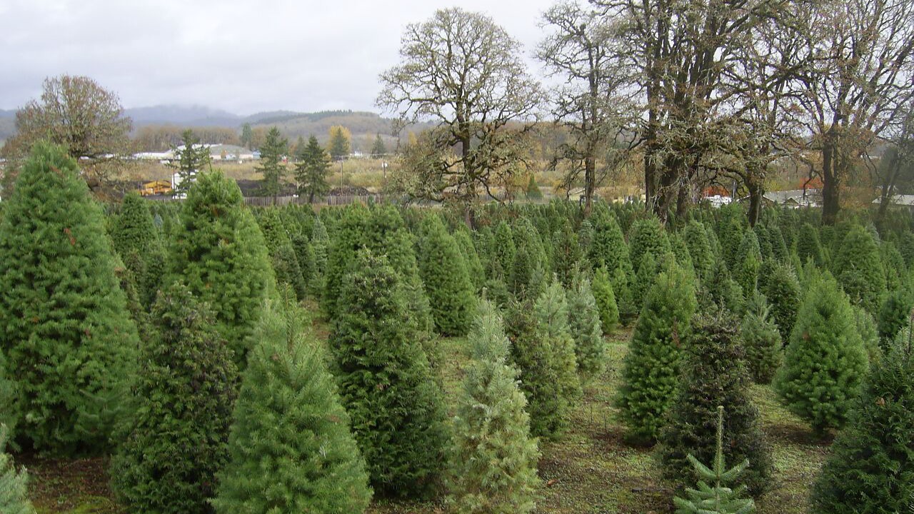 Photo of Others in Corvallis