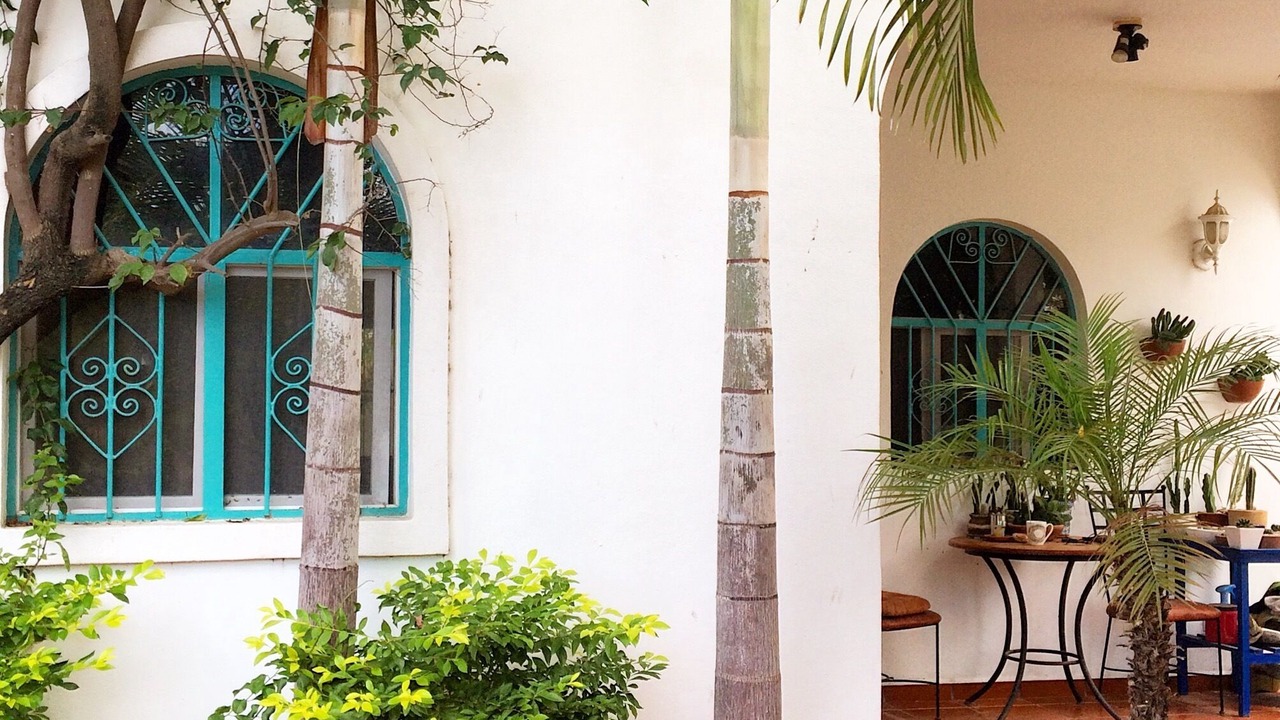 Photo of Outdoor in Emiliano Zapata