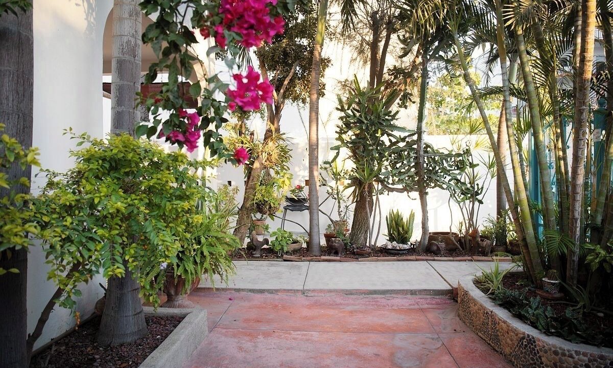 Photo of Outdoor in Emiliano Zapata