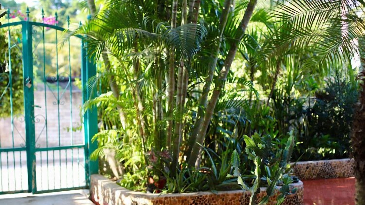 Photo of Outdoor in Emiliano Zapata