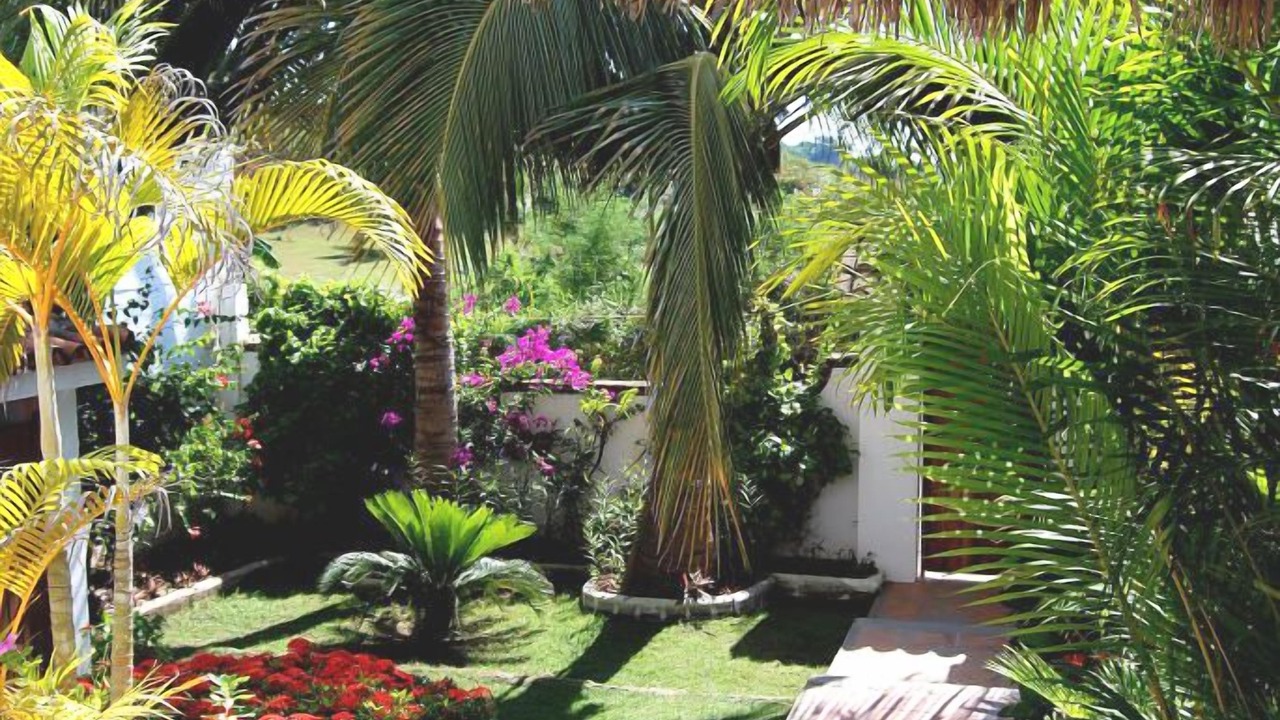 Photo of Outdoor in Punta Negra