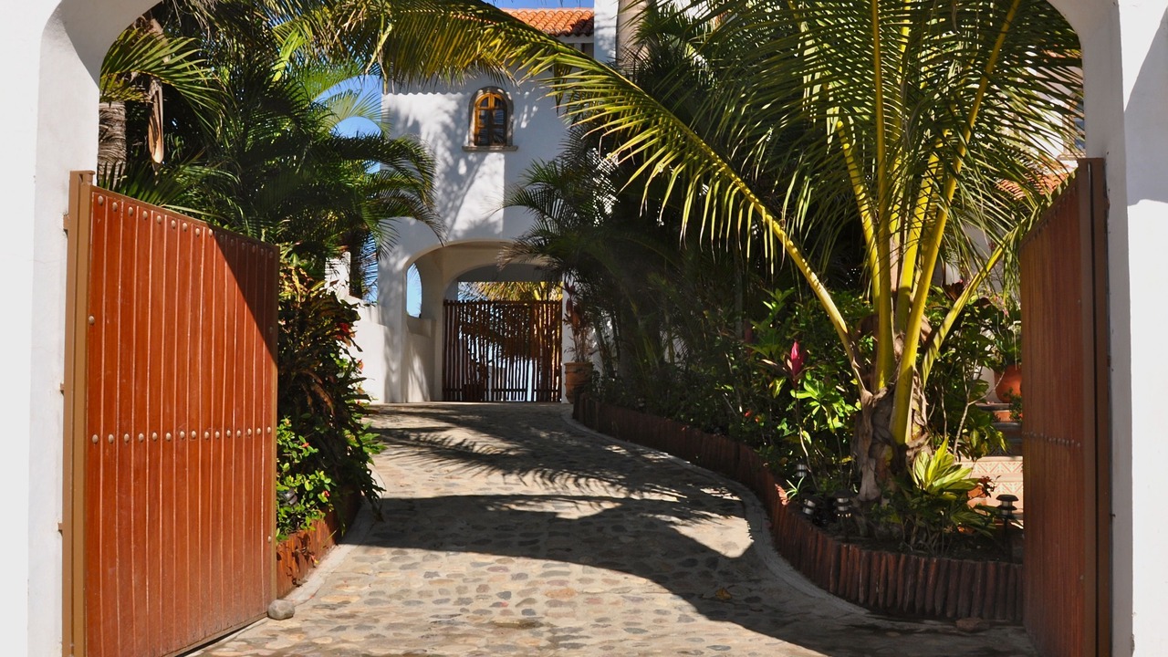 Photo of Others in Punta Negra
