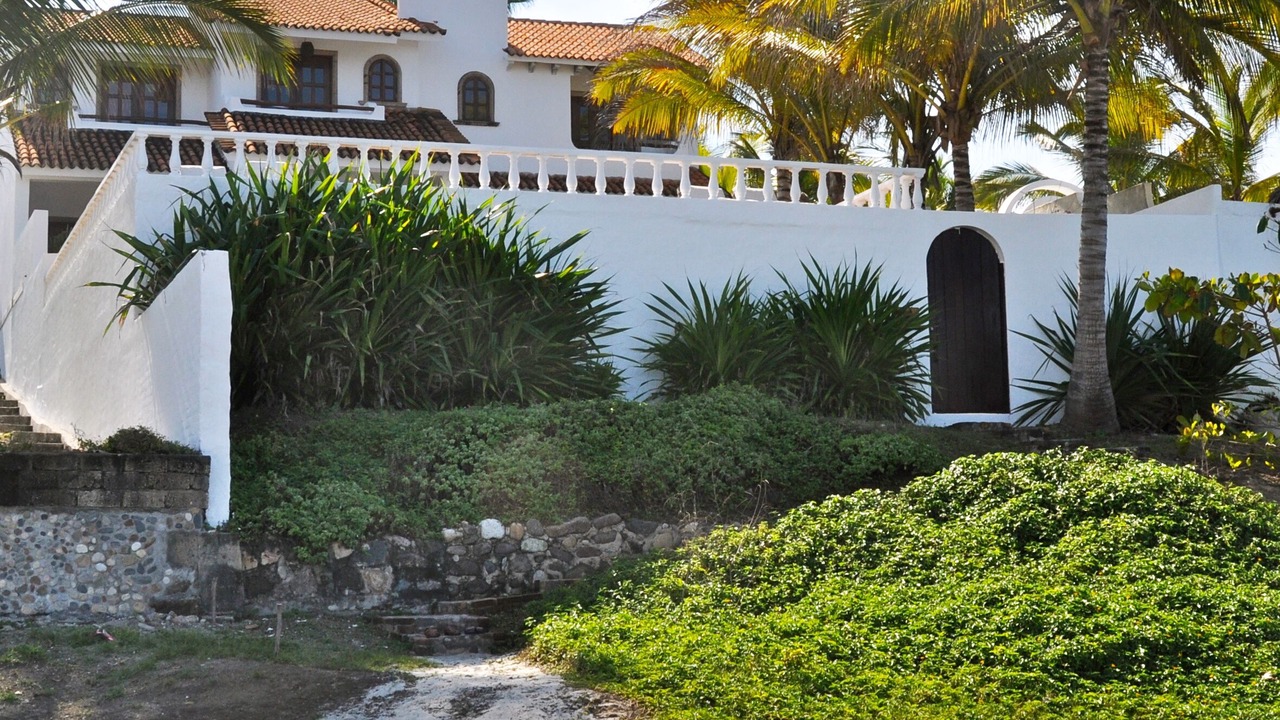 Photo of Others in Punta Negra