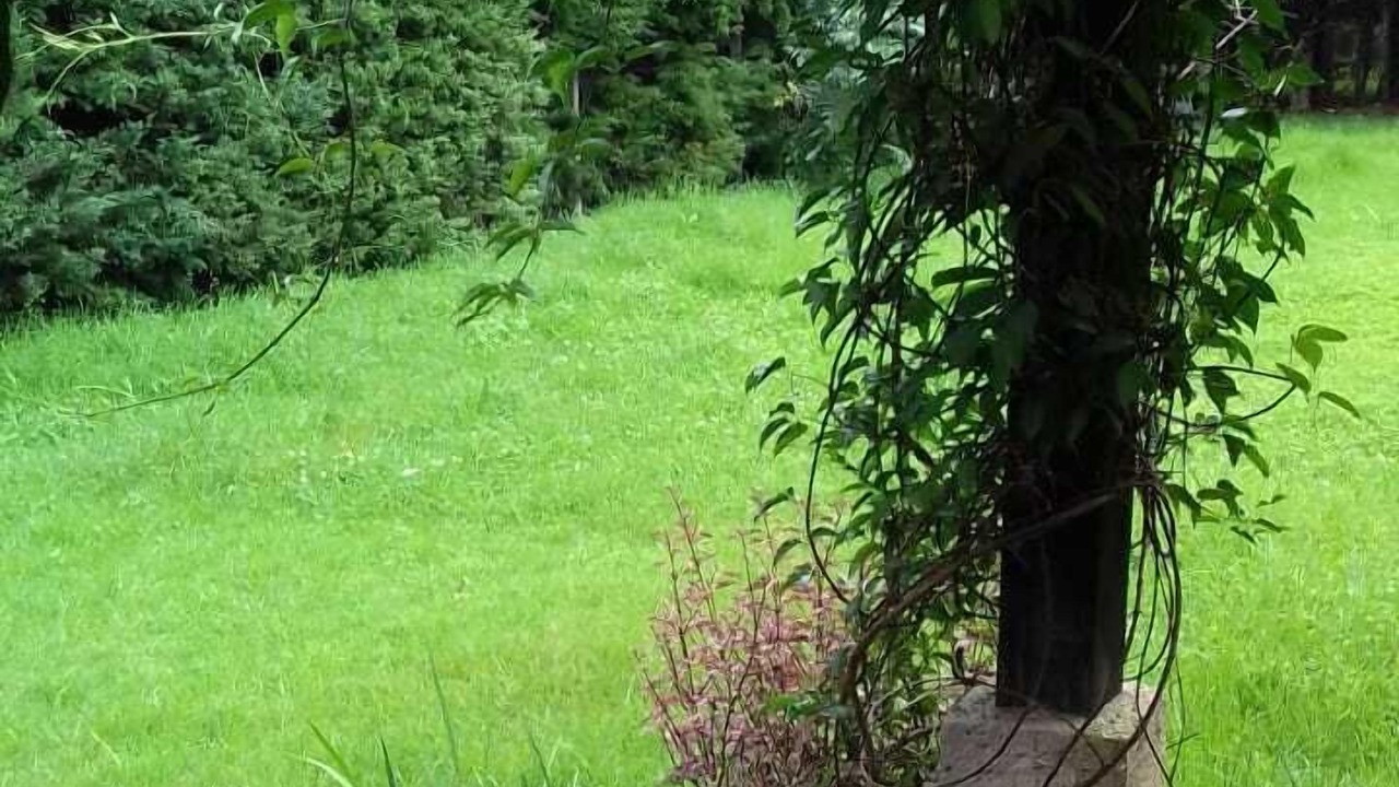 Photo of Outdoor in San Martin