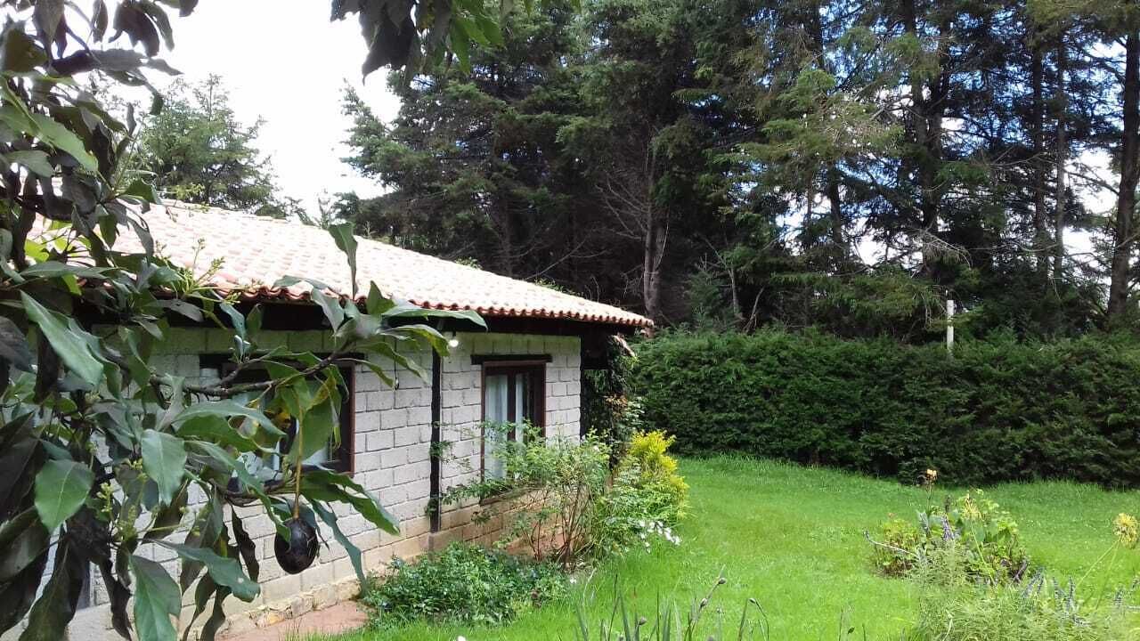 Photo of Outdoor in San Martin