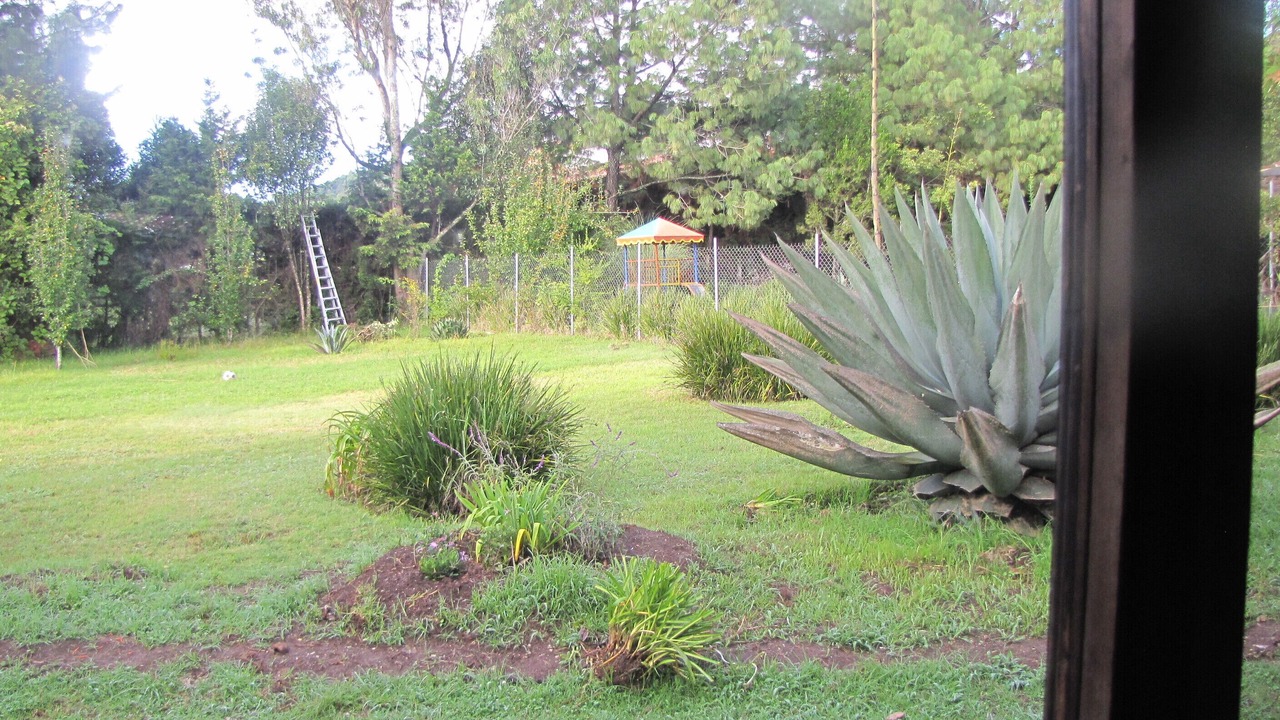 Photo of Outdoor in San Martin