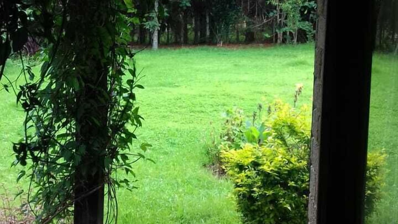 Photo of Outdoor in San Martin