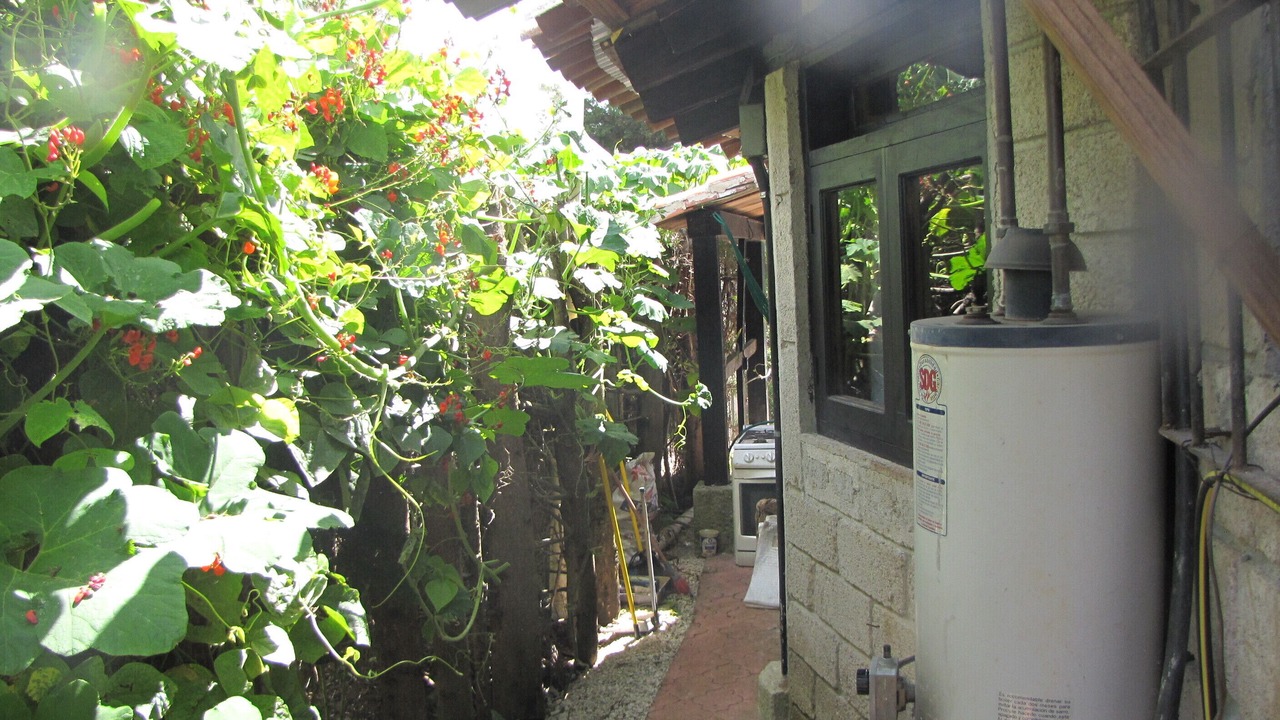 Photo of Outdoor in San Martin