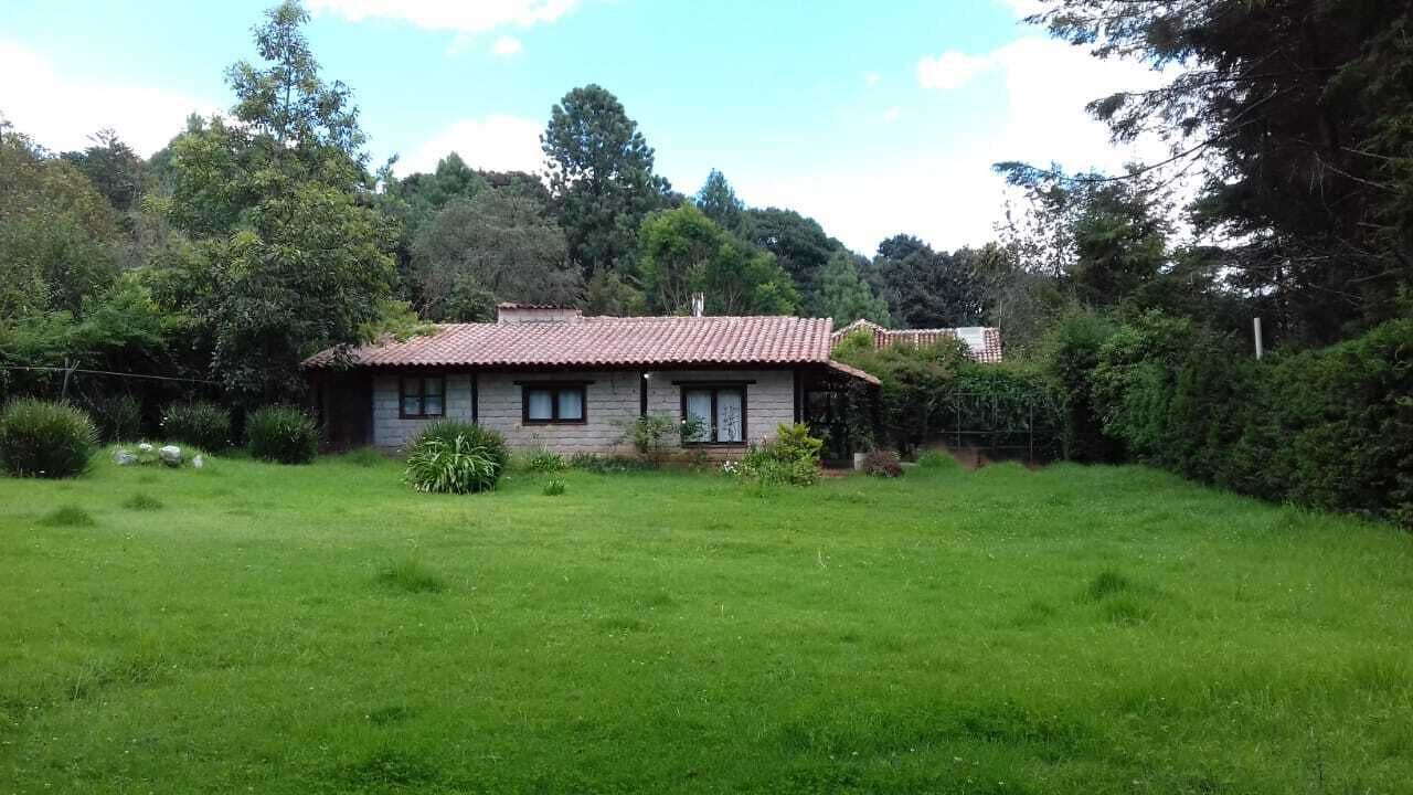 Photo of Outdoor in San Martin