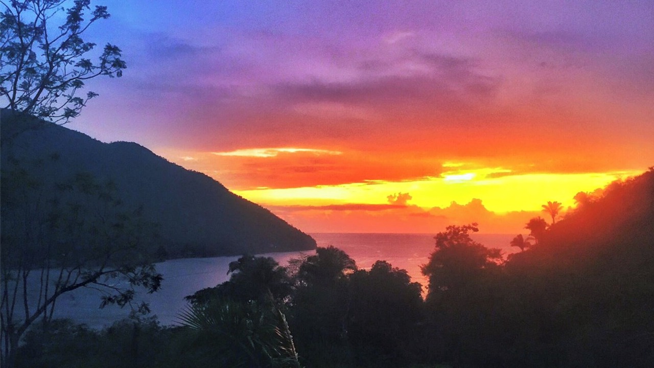 Photo of Others in Yelapa