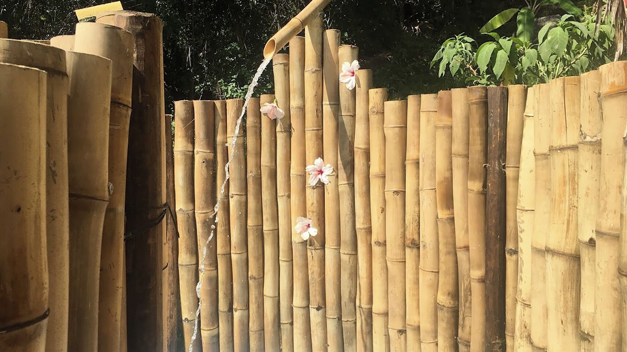 Photo of Outdoor in Yelapa