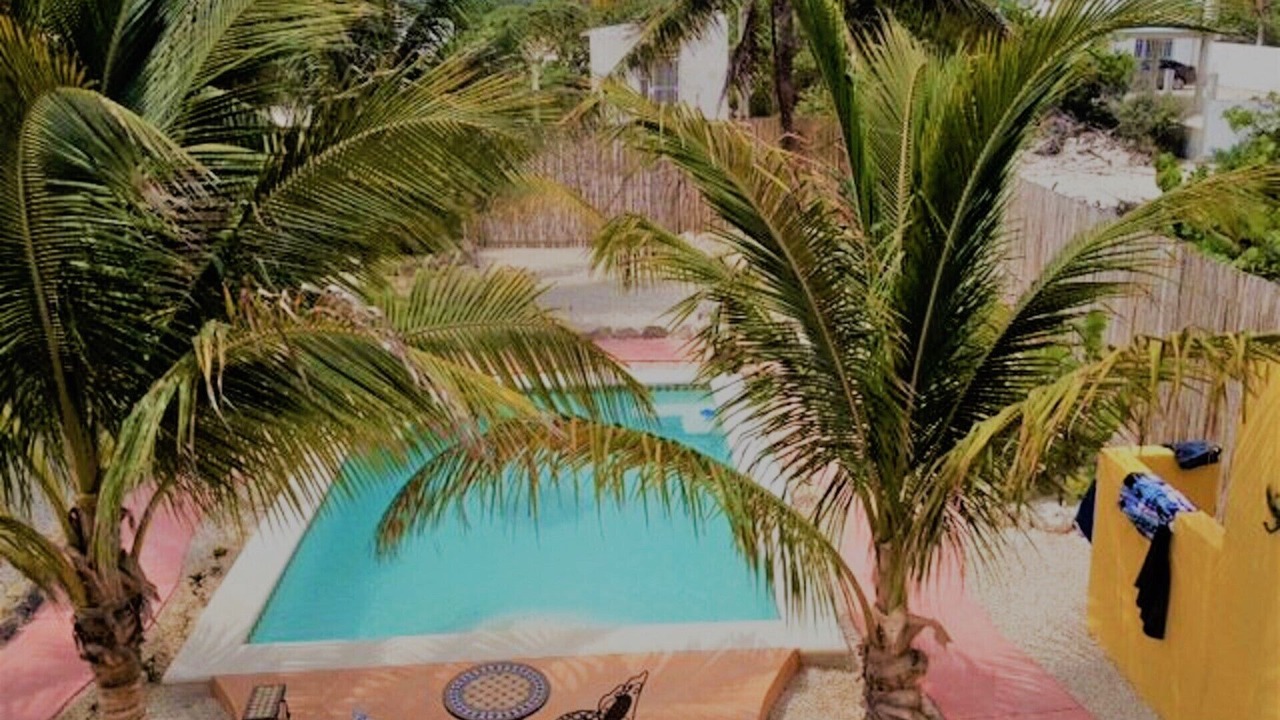 Photo of Others in Chuburna Puerto