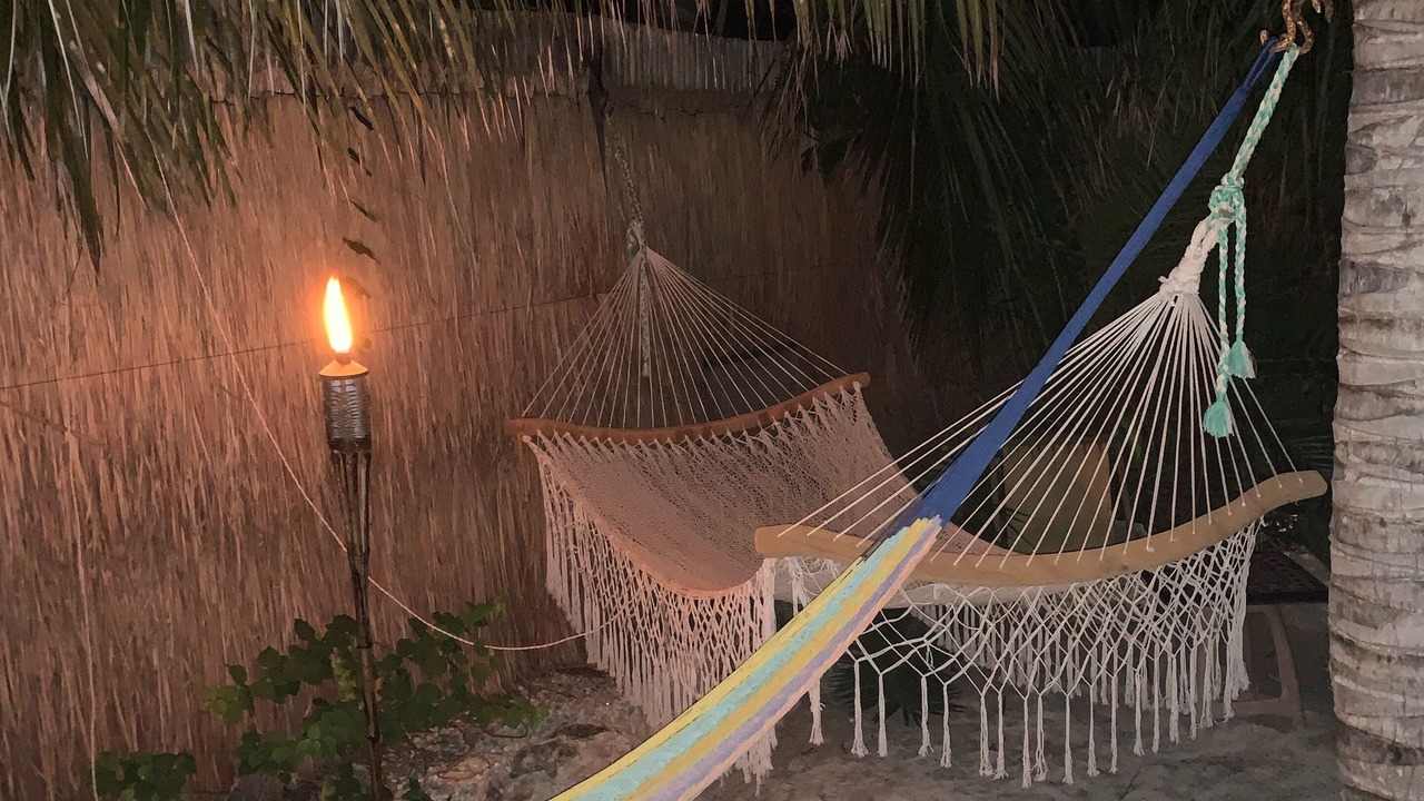 Photo of Others in Chuburna Puerto
