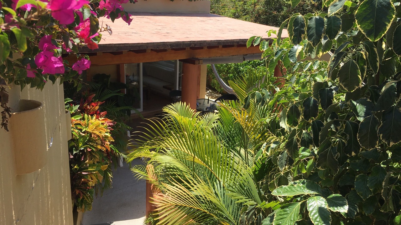 Photo of Outdoor in Ixtapa - Zihuatanejo