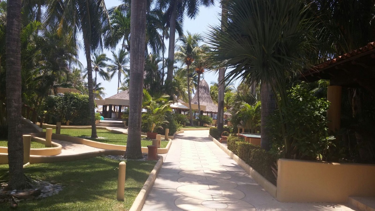 Photo of Outdoor in Ixtapa - Zihuatanejo