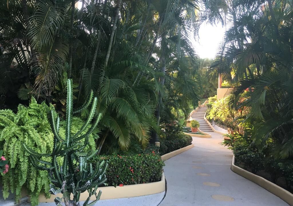 Photo of Outdoor in Ixtapa - Zihuatanejo