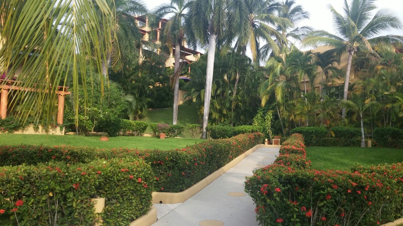 Photo of Outdoor in Ixtapa - Zihuatanejo