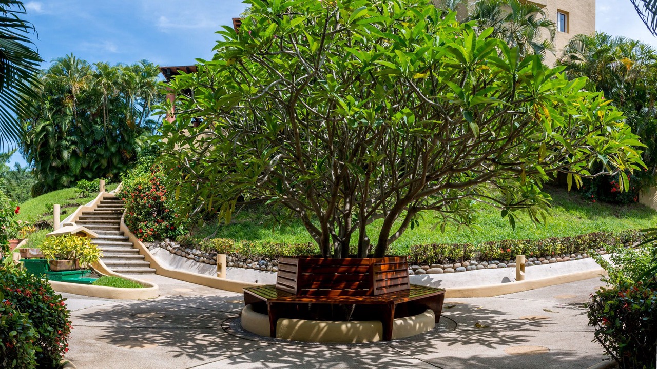 Photo of Outdoor in Ixtapa - Zihuatanejo
