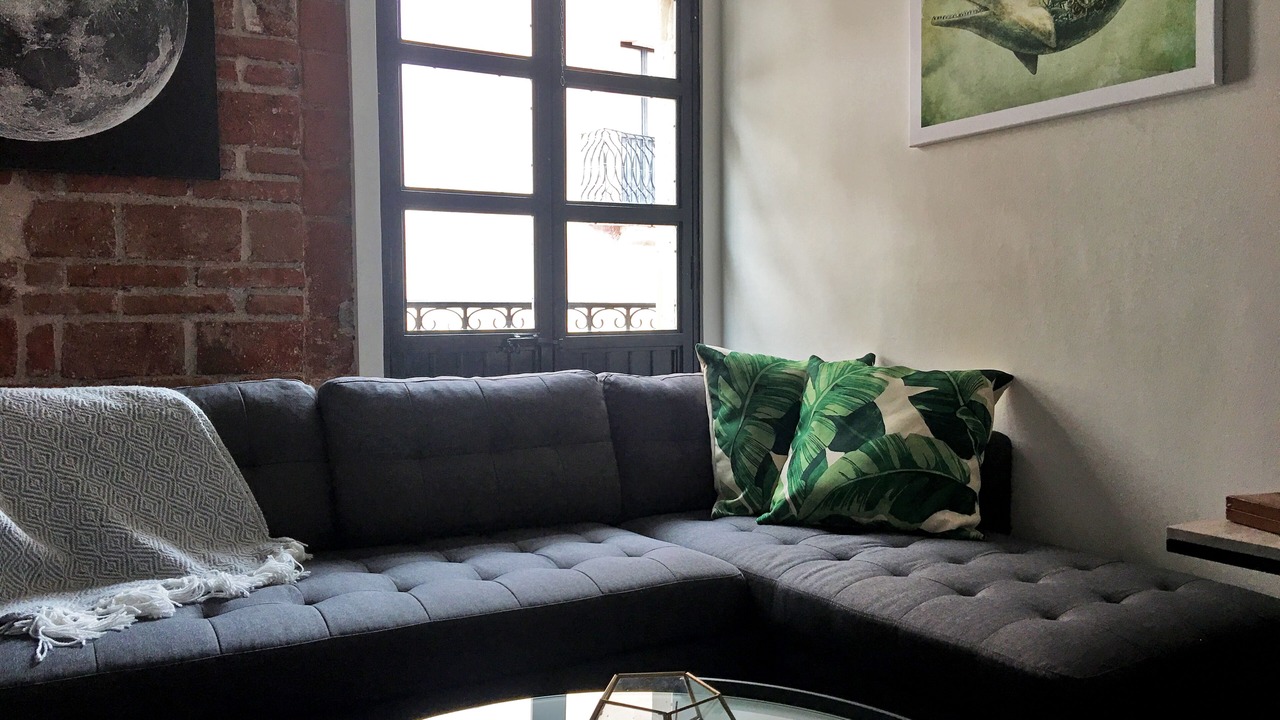 Photo of Livingroom in Zacatecas Centro