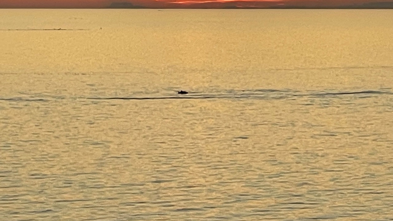 Photo of Others in Puerto Penasco