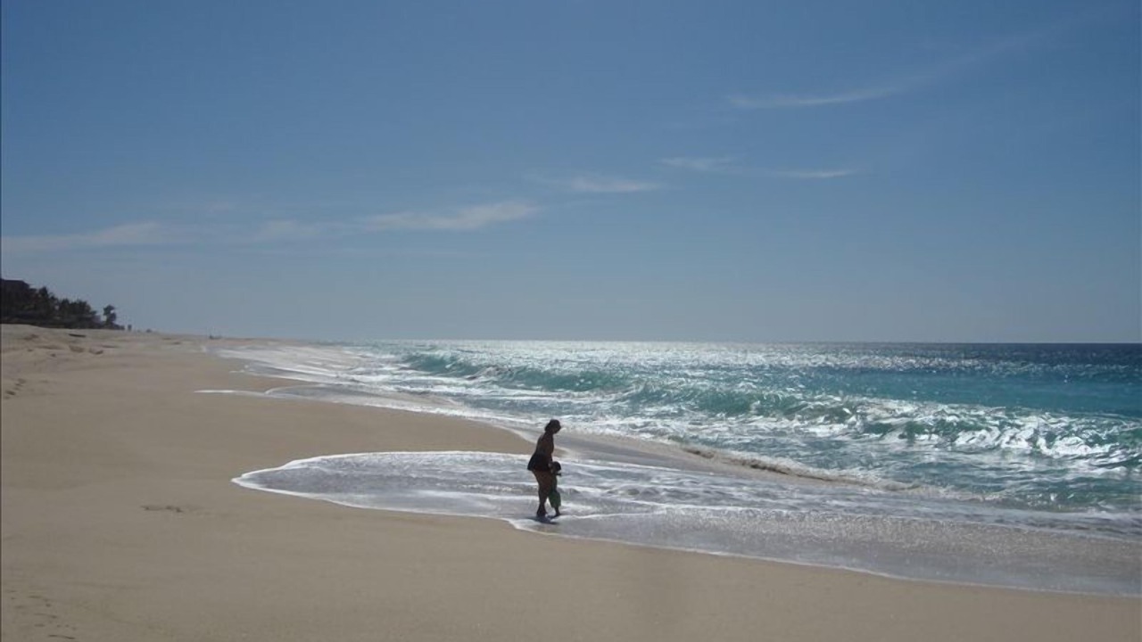 Photo of Others in San Jose del Cabo
