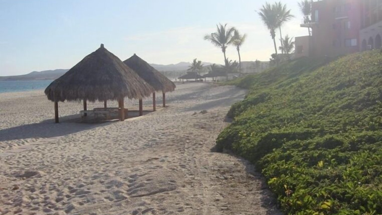 Photo of Others in San Jose del Cabo