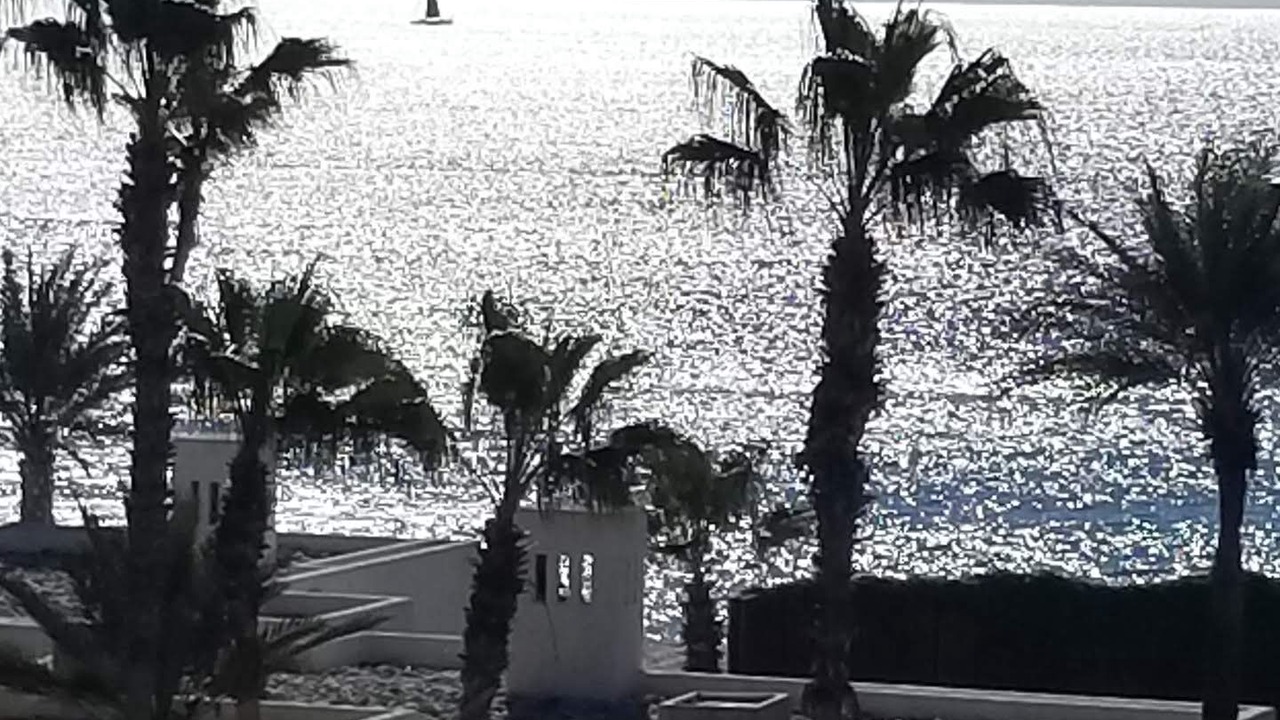 Photo of Others in San Jose del Cabo