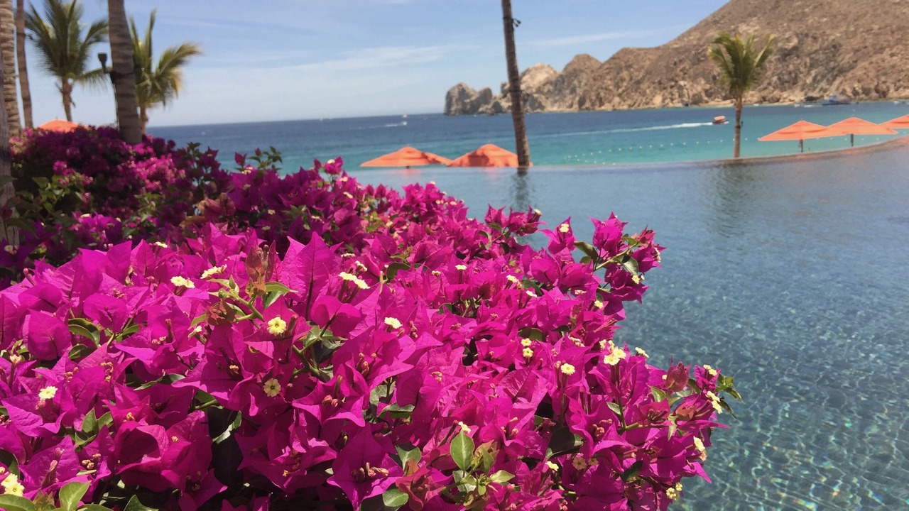 Photo of Others in Los Cabos