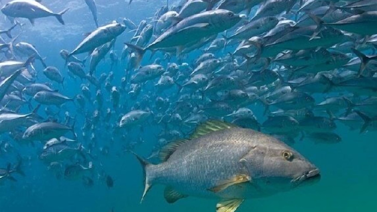 Photo of Outdoor in Los Cabos