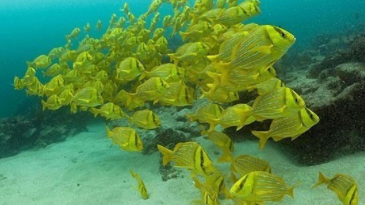 Photo of Outdoor in Los Cabos