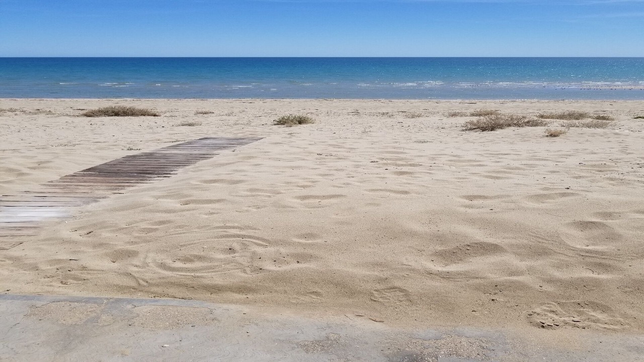 Photo of Others in Puerto Penasco