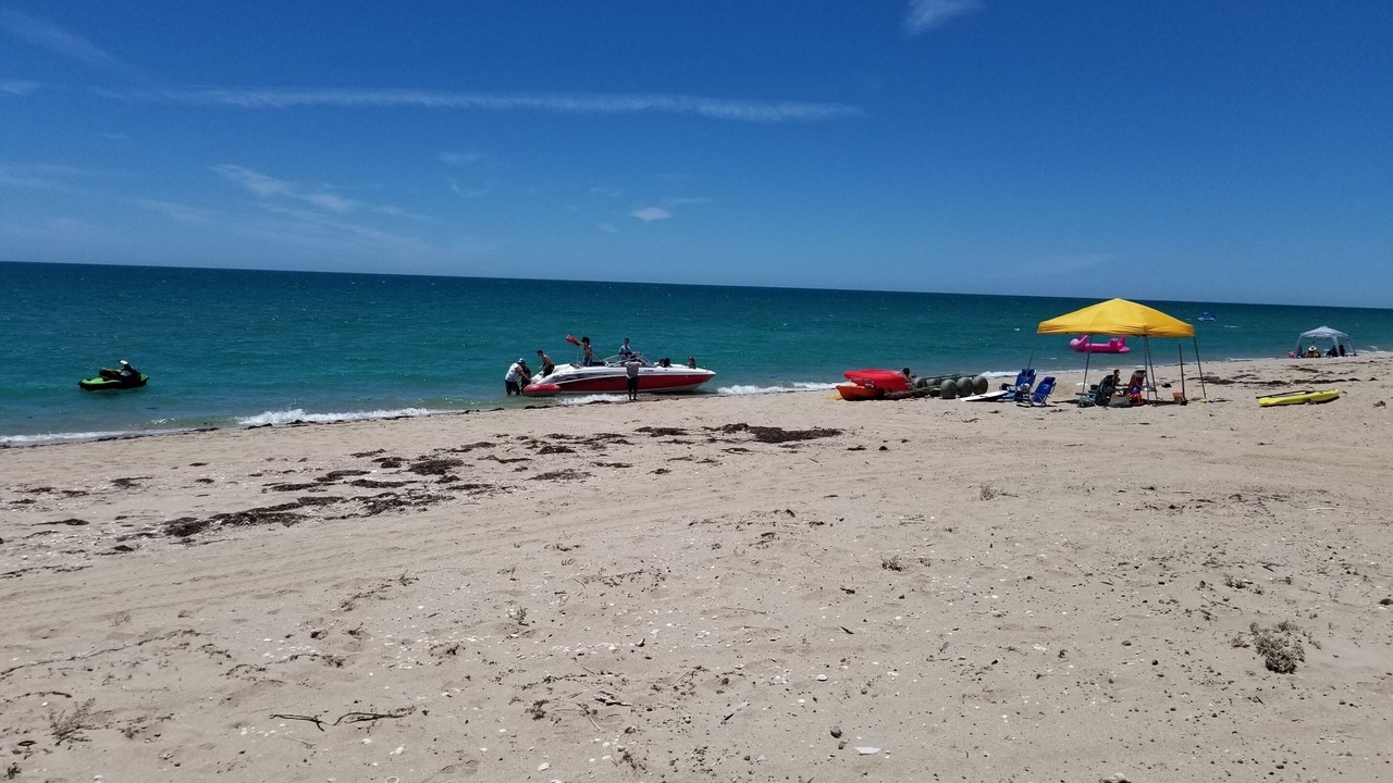 Photo of Others in Puerto Penasco