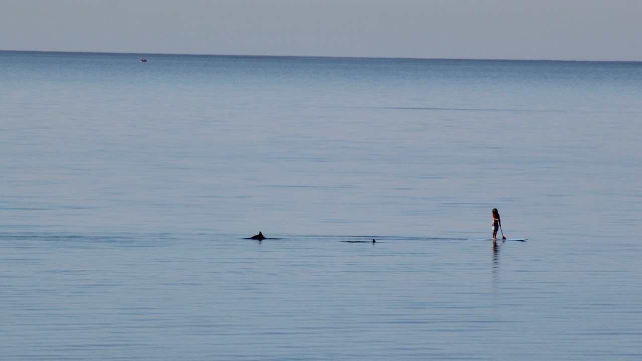 Photo of Others in Puerto Penasco