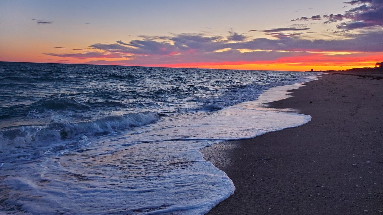 Photo of Others in Puerto Penasco