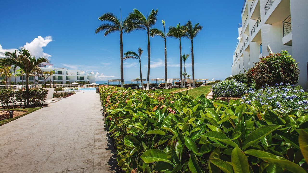Photo of Outdoor in Flamingos