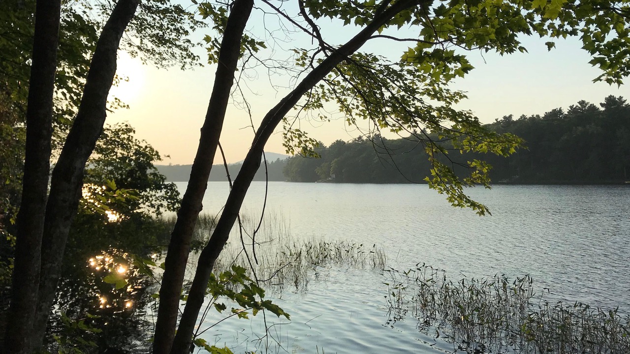 Photo of Others in Lincolnville