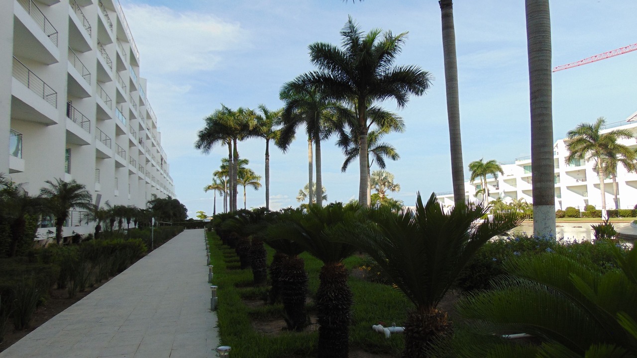 Photo of Outdoor in Flamingos